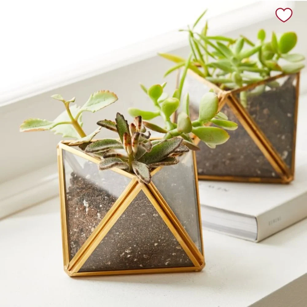 West Elm Faceted Terrarium Decorative Object